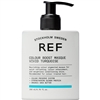 REF Colour Boost Masque Vivid Turquoise - 200ml